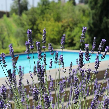 Villa Privata Per Famiglie O Amici Barberino di Val dʼElsa Extérieur photo