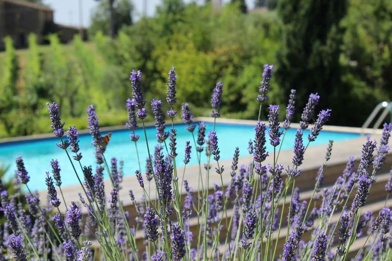 Villa Privata Per Famiglie O Amici Barberino di Val dʼElsa Extérieur photo